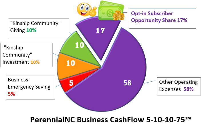 Perennial Business CashFlow 5-10-10-75