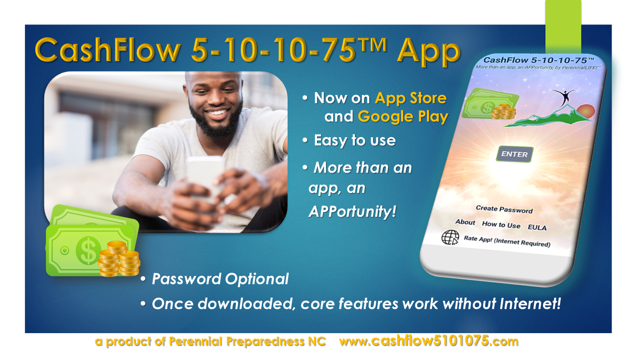 CashFlow App promotional image